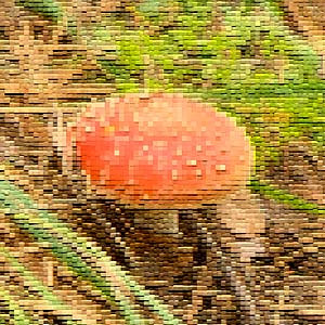   2
